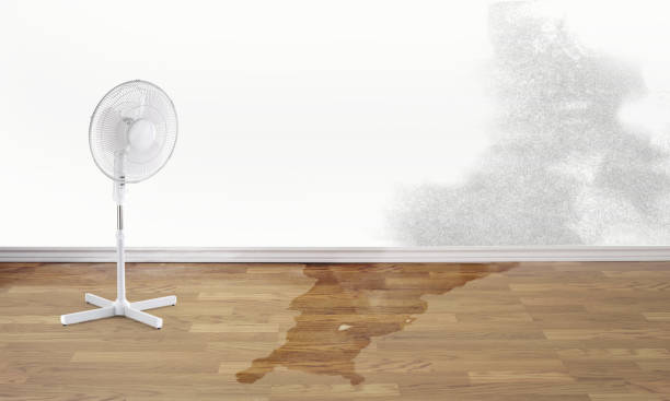 Best Flooded house restoration  in Raleigh, NC