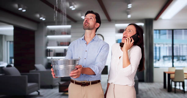Best Flooded house restoration  in Raleigh, NC