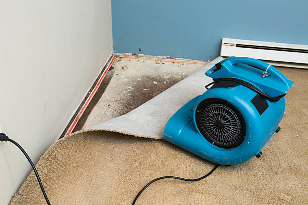 Best Water damage restoration insurance claims  in Raleigh, NC